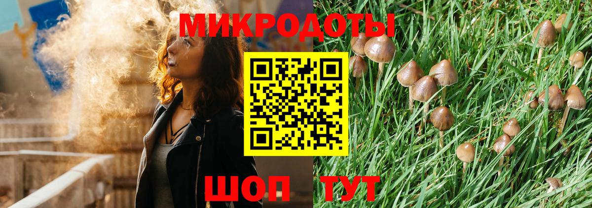 Галлюциногенные грибы Psilocybine cubensis  Вход с VPN  Советский 